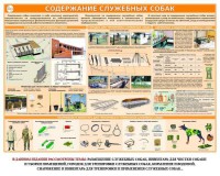 Комплект плакатов "Кинология" - fgospostavki.ru - Александров