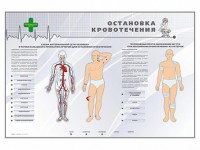 Электрифицированный стенд "Остановка кровотечения" - fgospostavki.ru - Александров