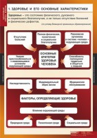 Комплект таблиц. ОБЖ. Здоровый образ жизни. - fgospostavki.ru - Александров