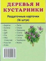 Раздаточные карточки "Деревья и кустарники" - fgospostavki.ru - Александров