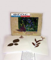 Гербарий "Дикорастущие растения" (28 видов) - fgospostavki.ru - Александров