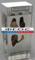 Влажный препарат "Внутреннее строение брюхоногого моллюска" - fgospostavki.ru - Александров