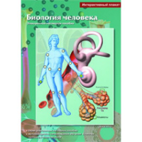 Интерактивные плакаты. Биология человека. Программно-методический комплекс - fgospostavki.ru - Александров