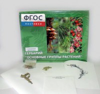 Гербарий "Основные группы растений" (52 листа) - fgospostavki.ru - Александров