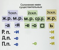 Набор магнитных карточек "Склонение имен существительных" - fgospostavki.ru - Александров