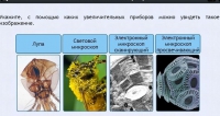 Интерактивные курсы. Биология 5 класс. Расширенный - fgospostavki.ru - Александров