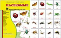 Демонстрационные карточки "Насекомые" - fgospostavki.ru - Александров
