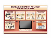 Многофункциональный интерактивный стенд-тренажер "Оказание первой помощи пострадавшим" для учащихся общеобразовательных учреждений - fgospostavki.ru - Александров
