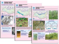 Комплект таблиц по географии "Природные зоны России" раздаточные (цветные, ламинированные, А4, 10 штук) - fgospostavki.ru - Александров