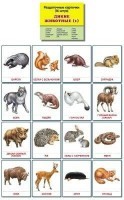 Раздаточные карточки "Дикие животные (1)" - fgospostavki.ru - Александров