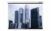 Настенный проекционный экран Lumien Eco Picture (LEP-100102) 180х180 см - fgospostavki.ru - Александров