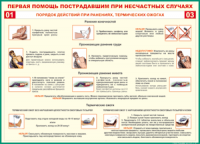 Таблица "Порядок действий при ранениях и термических ожогах" (100х140 сантиметров, винил) - fgospostavki.ru - Александров