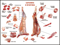 Таблица "Правила разделки мясных туш. Баранина и ягнятина" (100х140 сантиметров, винил) - fgospostavki.ru - Александров