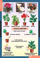 Комплект таблиц. Окружающий мир 1 класс. - fgospostavki.ru - Александров