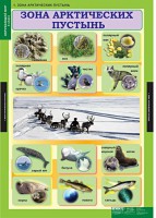 Комплект таблиц. Окружающий мир 4 класс. - fgospostavki.ru - Александров