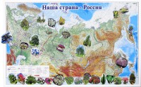Магнитные карточки "Растения" - fgospostavki.ru - Александров