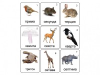 Набор магнитных карточек по музыке "Животные" (9 штук) - fgospostavki.ru - Александров
