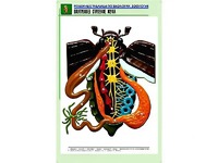 Рельефная таблица "Внутреннее строение жука" (формат А1, матовое ламинирование) - fgospostavki.ru - Александров