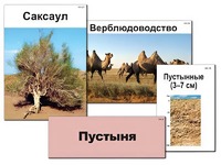 Модель-аппликация "Природные зоны России" (ламинированная) - fgospostavki.ru - Александров