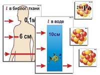 Модель-аппликация "Явление радиоактивности" (ламинированная) - fgospostavki.ru - Александров