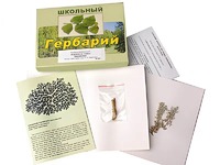 Гербарий "Водоросли. Грибы. Лишайники" (раздаточный) - fgospostavki.ru - Александров