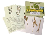 Гербарий "Систематика растений. Семейство Бобовые. Злаки" (раздаточный) - fgospostavki.ru - Александров