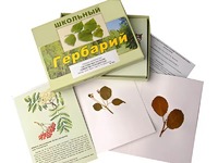Гербарий "Систематика растений. Семейство Розоцветные" (раздаточный) - fgospostavki.ru - Александров