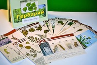 Гербарий к курсу основ общей биологии - fgospostavki.ru - Александров
