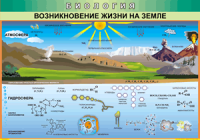Таблица "Возникновение жизни на земле" (100х140 сантиметров, винил) - fgospostavki.ru - Александров