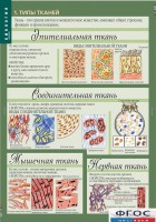 Комплект таблиц. Биология 8-9 класс. Человек. - fgospostavki.ru - Александров