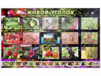 Комплект оборудования "Живой уголок" (растения) с тифлопереводом и сурдокомментариями - fgospostavki.ru - Александров