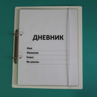 Дневник школьника (с полным набором карточек) - fgospostavki.ru - Александров