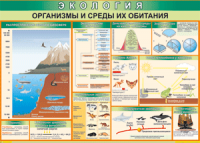 Таблица "Организмы и среды их обитания" (100х140 сантиметров, винил) - fgospostavki.ru - Александров