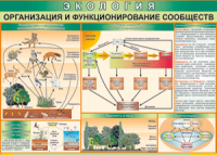 Таблица "Организация и функционирование сообществ" (100х140 сантиметров, винил) - fgospostavki.ru - Александров