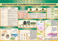 Таблица "Биотические взаимоотношения организмов" (100х140 сантиметров, винил) - fgospostavki.ru - Александров