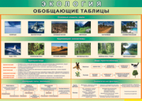 Таблица "Экология. Обобщающие таблицы" (100х140 сантиметров, винил) - fgospostavki.ru - Александров