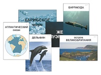 Модель-аппликация "Океаны. Знакомство" (ламинированная) - fgospostavki.ru - Александров