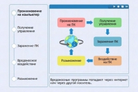 Интерактивные курсы. Информатика 10 класс . Базовый. - fgospostavki.ru - Александров