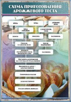 Стенд "Схема приготовления дрожжевого теста" - fgospostavki.ru - Александров