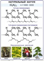Комплект демонстрационных таблиц по химии "Полимеры" (комплект 12 таблиц) - fgospostavki.ru - Александров
