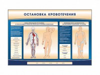 Электрифицированный стенд-тренажер "Остановка кровотечения" - fgospostavki.ru - Александров