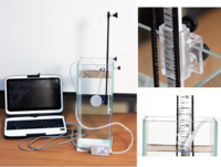 Набор демонстрационный «Гидростатика и плавание тел» - fgospostavki.ru - Александров