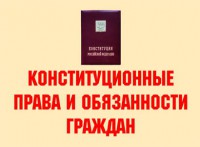 Комплект плакатов "Конституционные права и обязанности граждан" - fgospostavki.ru - Александров