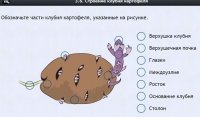 Интерактивные курсы. Биология 6 класс. Расширенный - fgospostavki.ru - Александров
