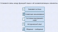 Интерактивные курсы. Русский язык 7 класс . Базовый. - fgospostavki.ru - Александров