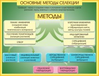 Стенд "Методы селекции и биотехнологии" - fgospostavki.ru - Александров