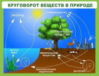 Стенд "Круговорот веществ" - fgospostavki.ru - Александров
