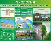 Стенд "Экология. Антропогенное воздействие на биосферу" - fgospostavki.ru - Александров