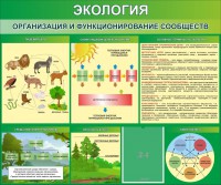 Стенд "Экология. Организация и функционирование сообществ" - fgospostavki.ru - Александров