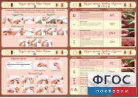 Стенд "Вязание крючком" - fgospostavki.ru - Александров